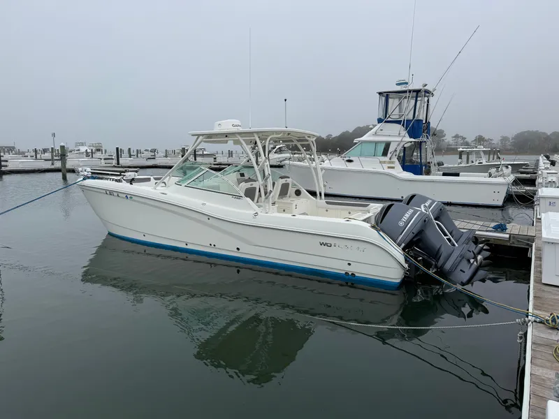 The Image of 2018 World Cat 295 DC boat docked in harbor. - 0