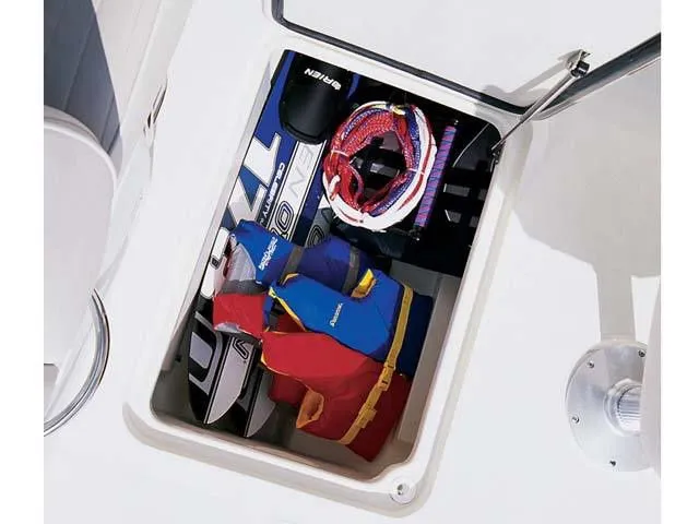 Slide: The Image of Scout 222 Dorado 2008 - 3