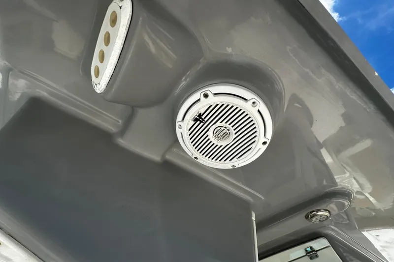 Slide: The Image of Speaker and light fixture on 2019 Pioneer 266 Pelagic boat ceiling. - 30
