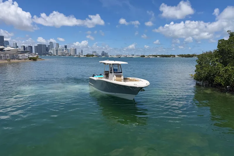 Slide: The Image of 2019 Pioneer 266 Pelagic boat cruising in a scenic bay with city skyline backdrop. - 6