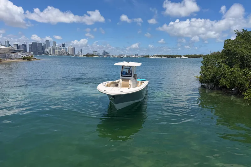 Slide: The Image of 2019 Pioneer 266 Pelagic boat on clear water with city skyline in background. - 7