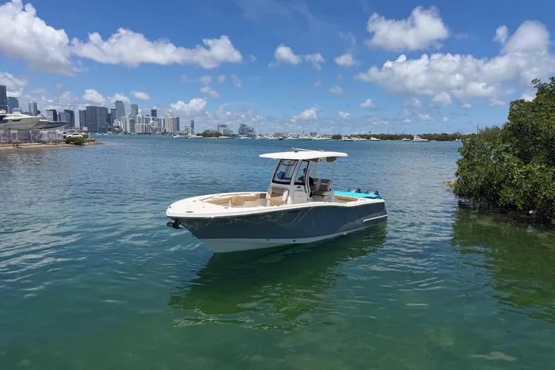 Slide: The Image of 2019 Pioneer 266 Pelagic boat on calm water with city skyline in background. - 8