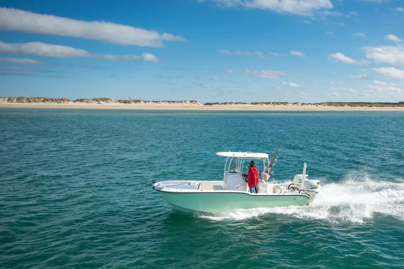 Slide: The Image of 2026 Tideline 235 Hybrid boat cruising on open water near sandy shoreline. - 7