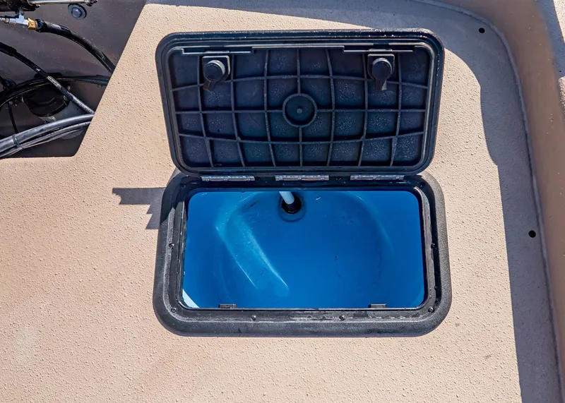 Slide: The Image of Carolina E21DLX 2026 - 7