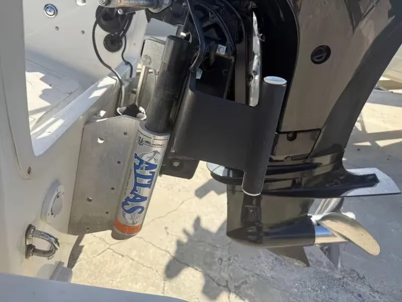 Slide: The Image of Carolina 178 DVL 2014 - 4