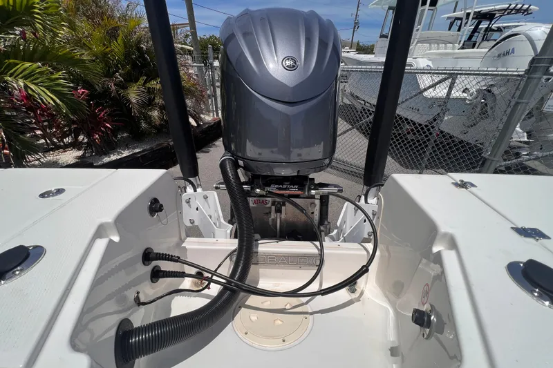 Slide: The Image of 2022 Robalo 246 Cayman boat engine and transom view at a marina. - 16