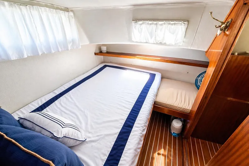 Slide: The Image of 1975 Apollo Deluxe TT engine, green, detailed view with hoses and components. - 16