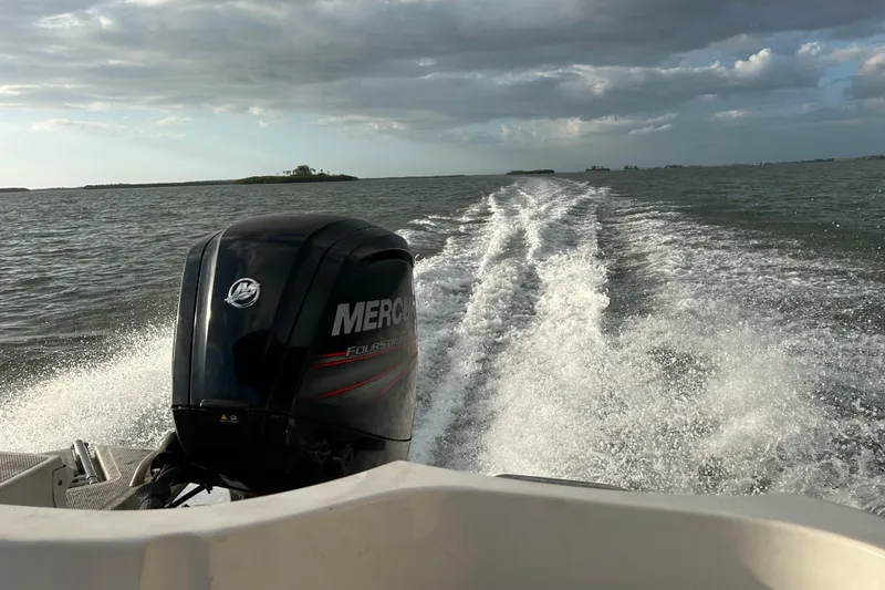 Slide: The Image of 2019 Bayliner Element E18 boat cruising with Mercury outboard motor on open water. - 20