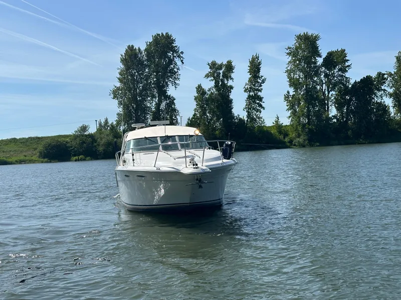 Slide: The Image of 1993 Sea Ray Sundancer 370 on calm water with trees in background. - 46