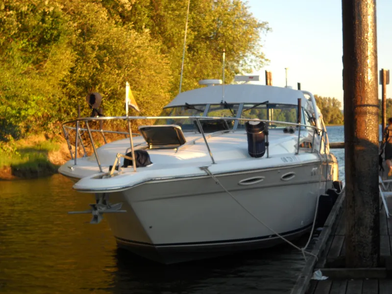 Slide: The Image of 1993 Sea Ray Sundancer 370 docked, surrounded by trees. - 48