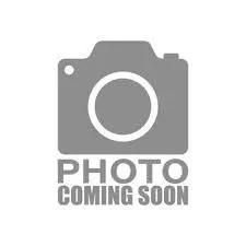 The Image of Starcraft SVX 211 OB 2026, photo coming soon. - 1