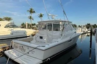 Slide: The Image of 2002 Pursuit 3800 Express yacht docked in a marina with palm trees. - 4