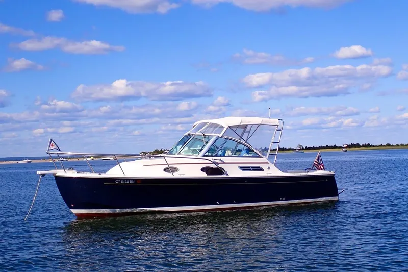 The Image of Profile - 0