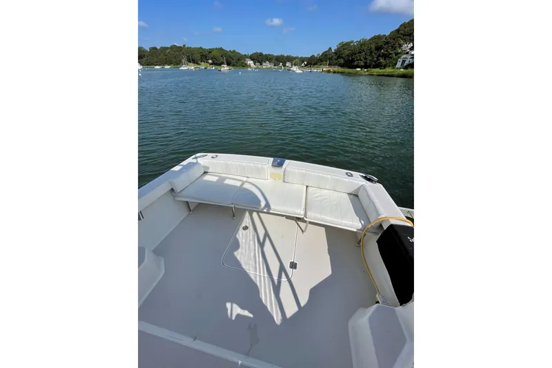 Slide: The Image of Aft Seat Cushions - 10