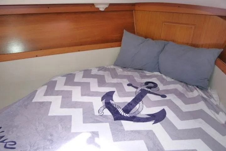 Slide: The Image of Cozy cabin bed in 2001 Catalina 310 sailboat with anchor-themed bedding. - 19