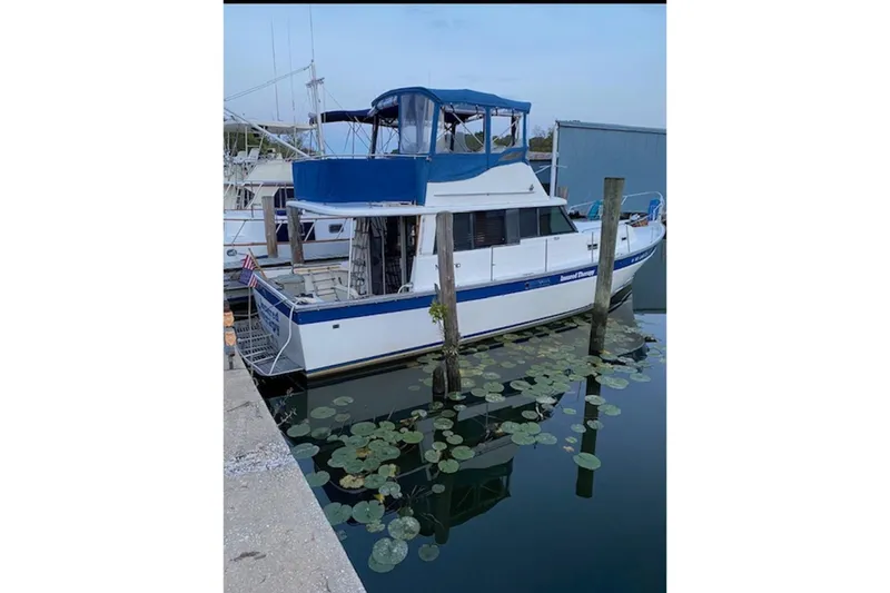 The Image of 1978 Mainship 34 Trawler docked, surrounded by lily pads, with blue canopy. - 1