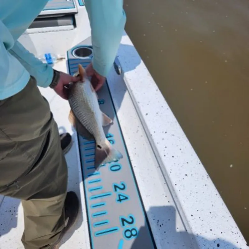 Slide: The Image of Xpress H22B 2021 - 10