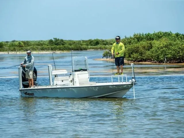 The Image of Mako 21 LTS 2017 - 1