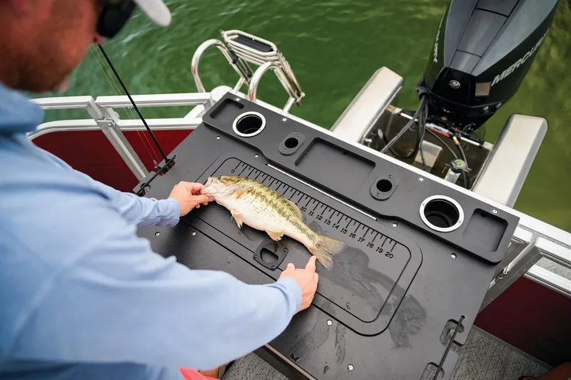 Slide: The Image of Sun Tracker Fishin' Barge 22 XP3 2026 - 89