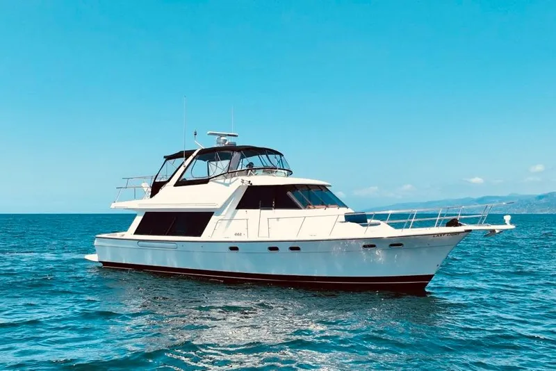 The Image of 2001 Bayliner 4788 Pilot House Motoryacht cruising on open water under clear skies. - 1
