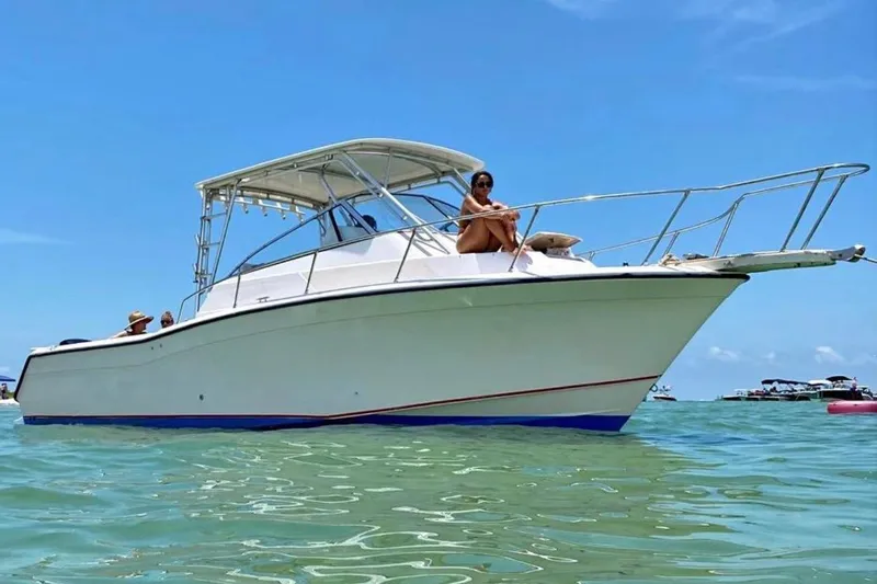 The Image of 1996 Grady-White Marlin 300 boat on clear water with people relaxing onboard. - 0
