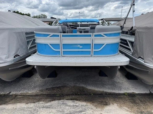 Slide: The Image of Bennington 22SSRSE 2025 - 13