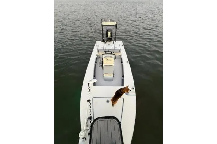 Slide: The Image of 2020 Maverick Mirage 17 HPX-V boat on water with a dog on deck. - 15