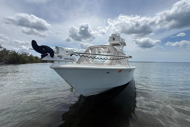 Slide: The Image of 2016 Dorado 25 SE boat with Minn Kota motor on calm water under cloudy sky. - 3