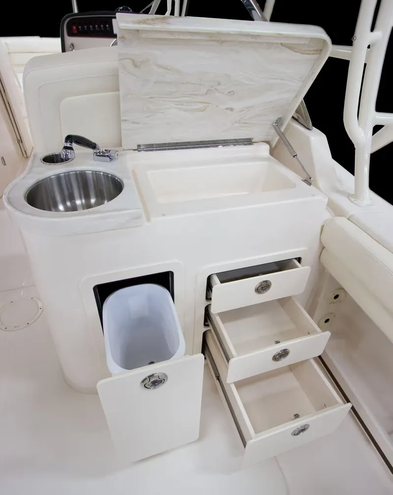 Slide: The Image of Grady-White Freedom 307 2026 - 16