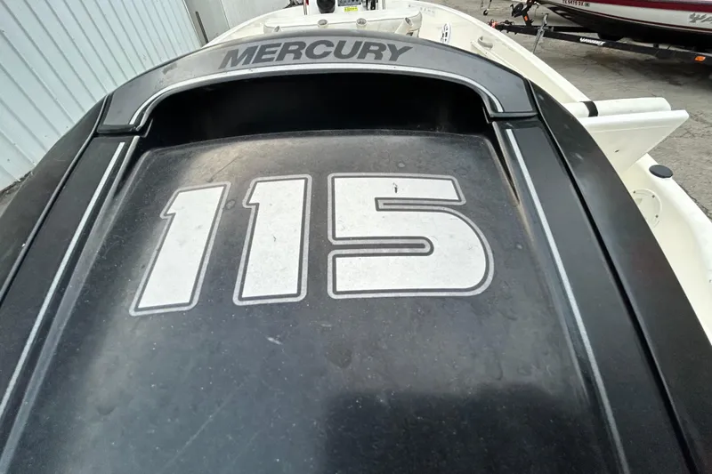 Slide: The Image of 2019 Bayliner Element F18 control panel with capacity details. - 9