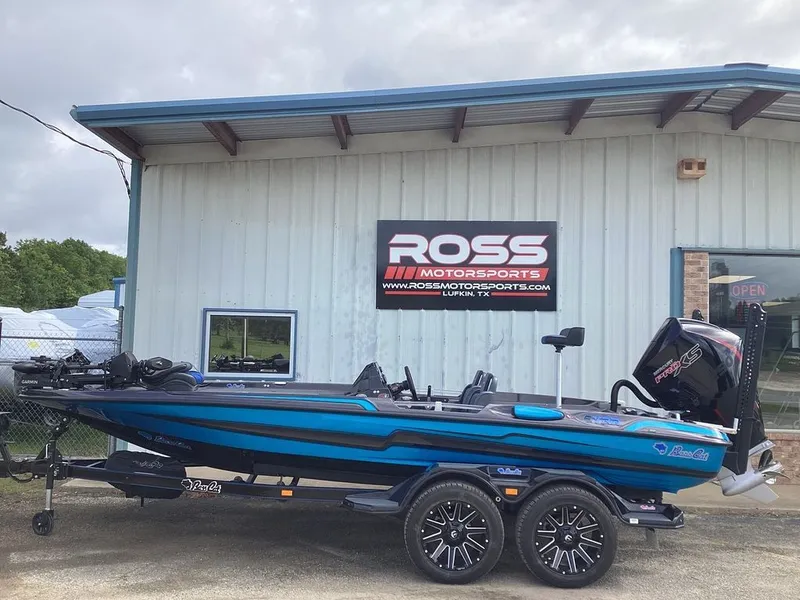 The Image of Bass Cat Eyra 2026 - 1