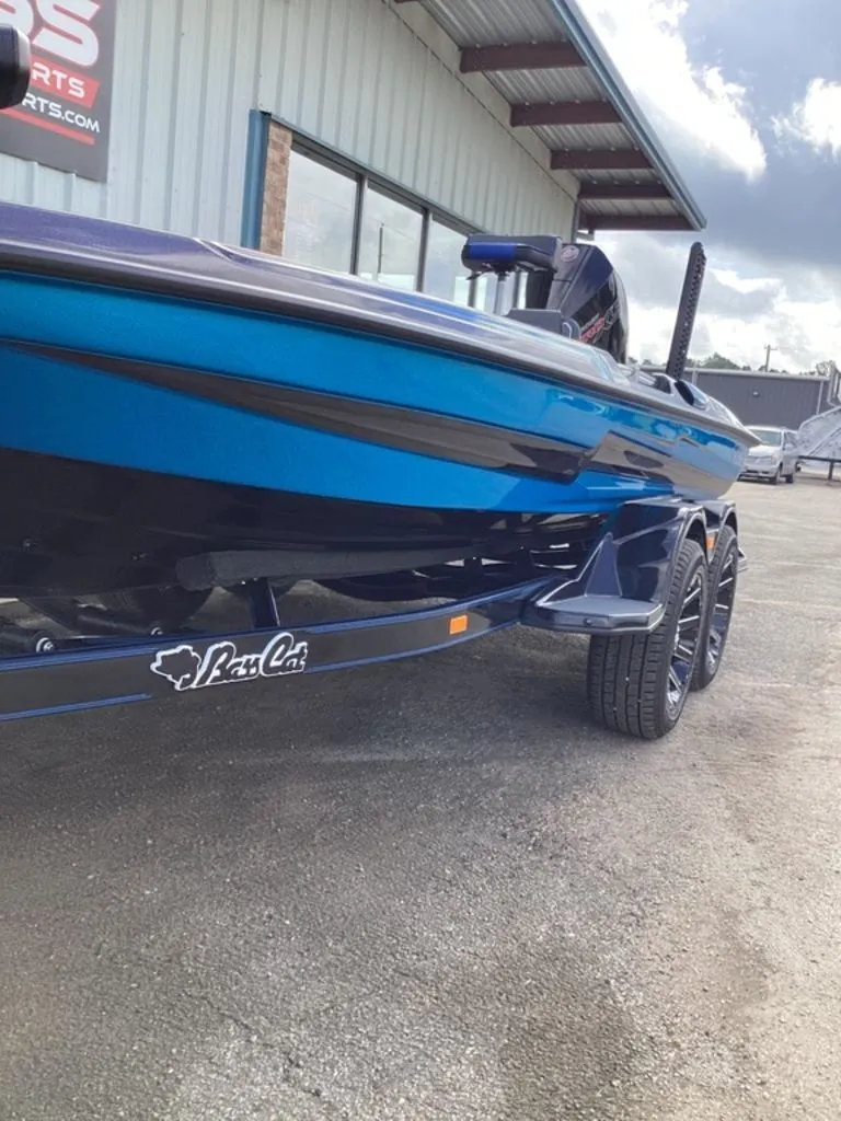 Slide: The Image of Bass Cat Eyra 2026 - 11