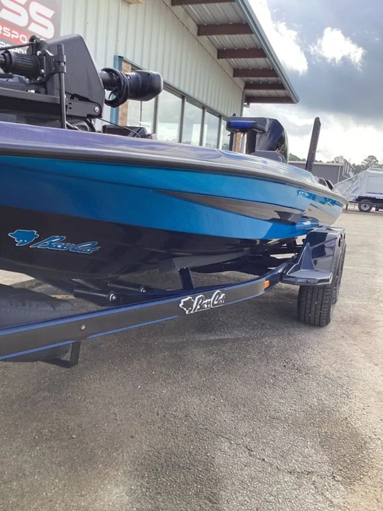 Slide: The Image of Bass Cat Eyra 2026 - 12