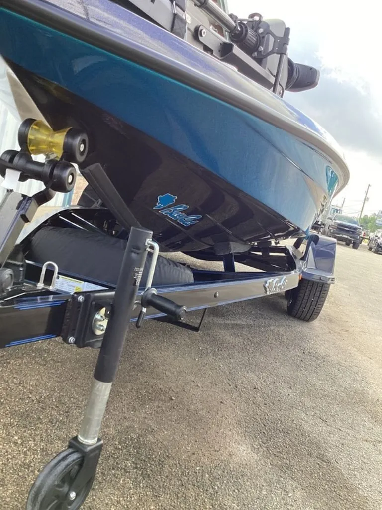 Slide: The Image of Bass Cat Eyra 2026 - 13