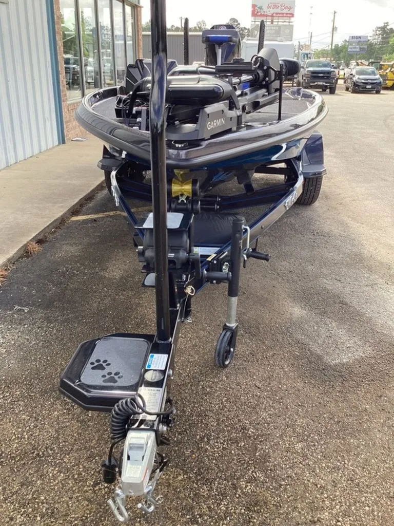 Slide: The Image of Bass Cat Eyra 2026 - 14