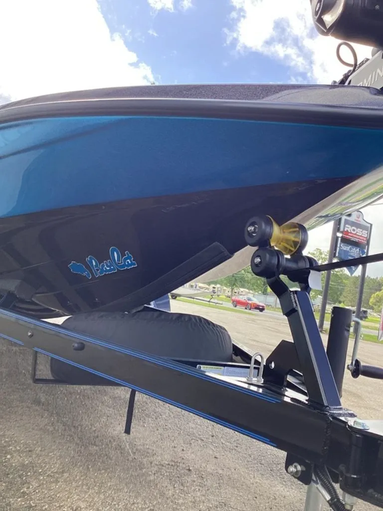 Slide: The Image of Bass Cat Eyra 2026 - 15