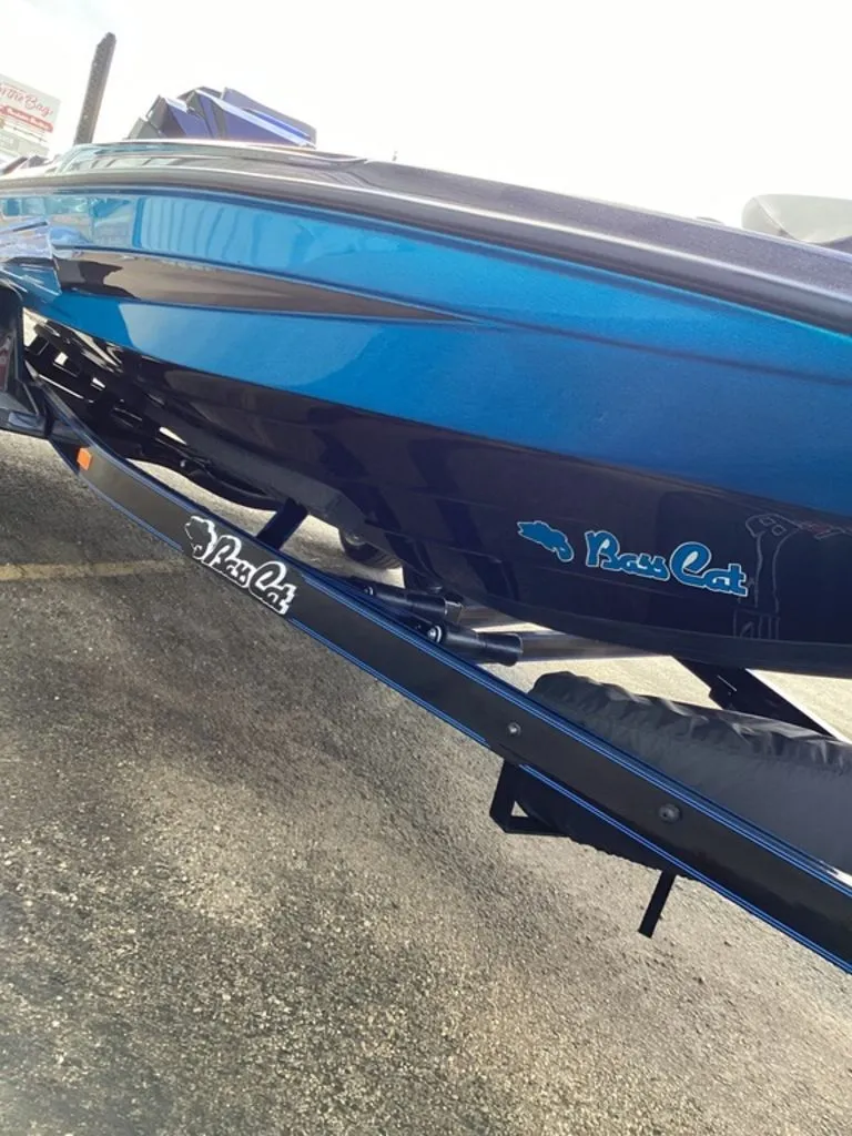 Slide: The Image of Bass Cat Eyra 2026 - 16