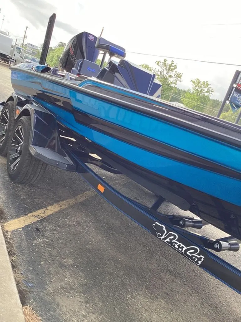 Slide: The Image of Bass Cat Eyra 2026 - 17