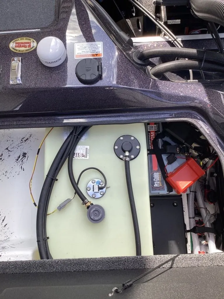 Slide: The Image of Bass Cat Eyra 2026 - 23