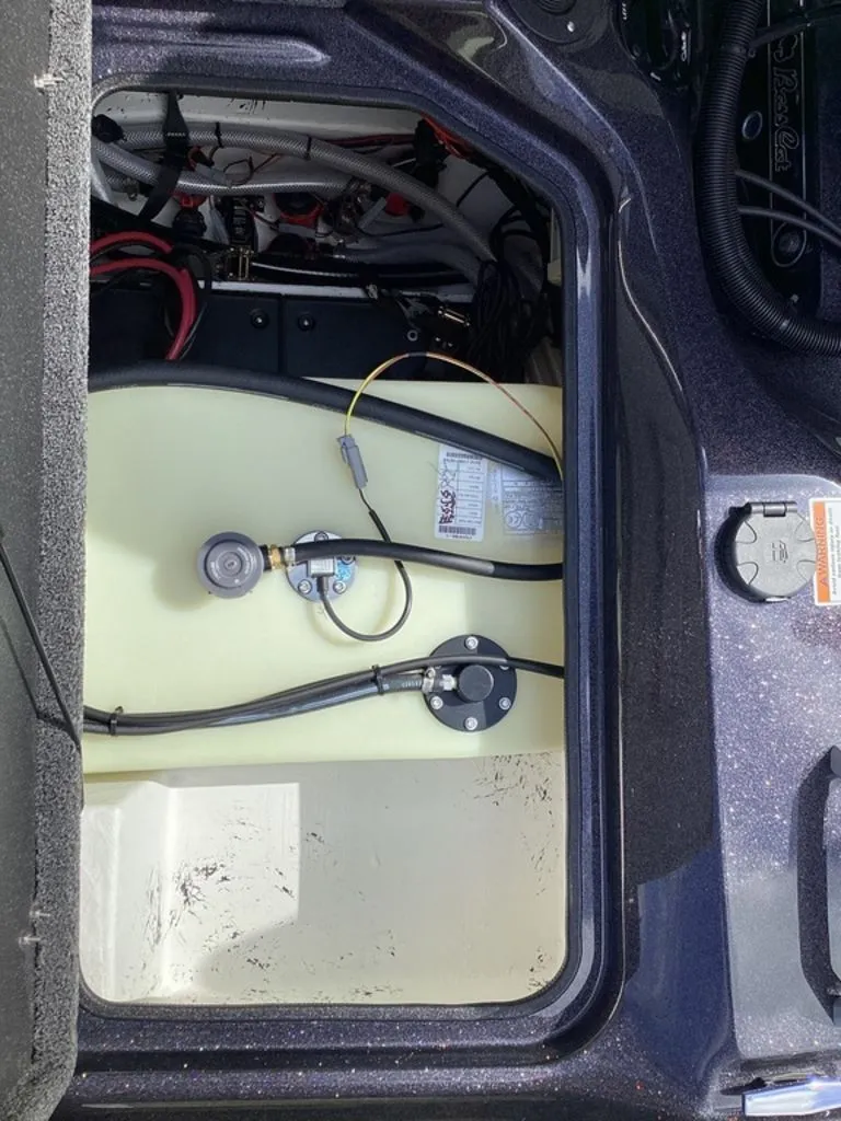 Slide: The Image of Bass Cat Eyra 2026 - 24