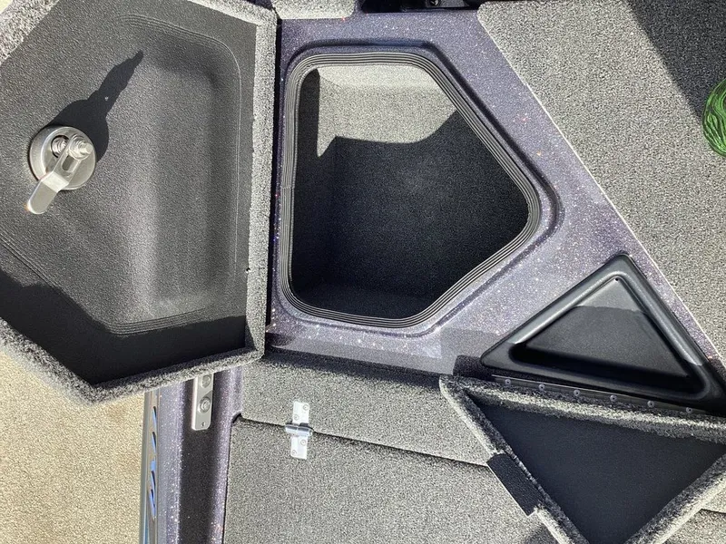 Slide: The Image of Bass Cat Eyra 2026 - 26