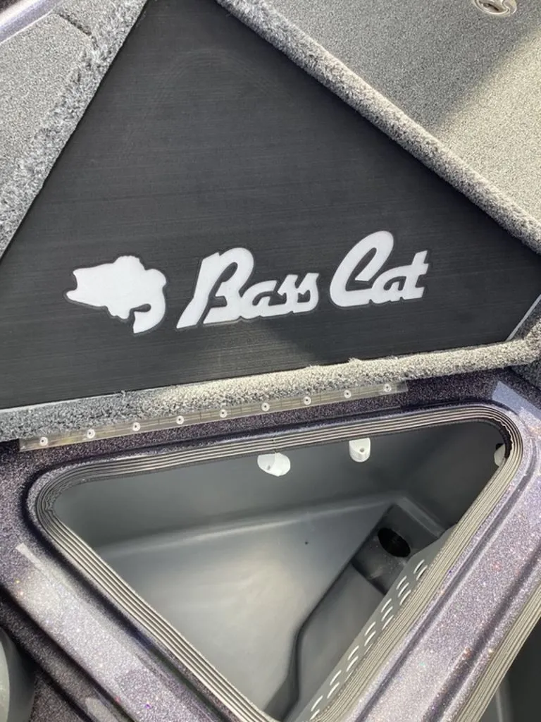 Slide: The Image of Bass Cat Eyra 2026 - 29