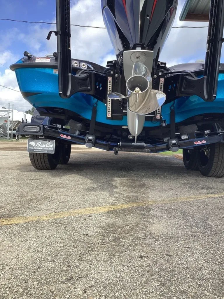 Slide: The Image of Bass Cat Eyra 2026 - 3