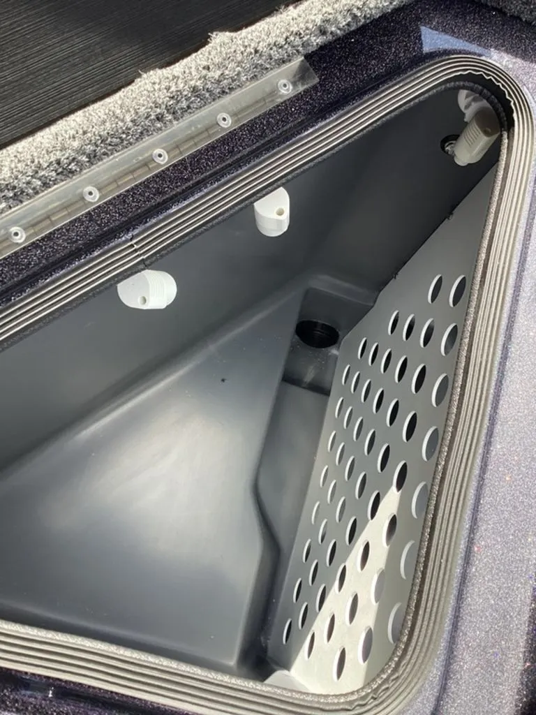 Slide: The Image of Bass Cat Eyra 2026 - 30