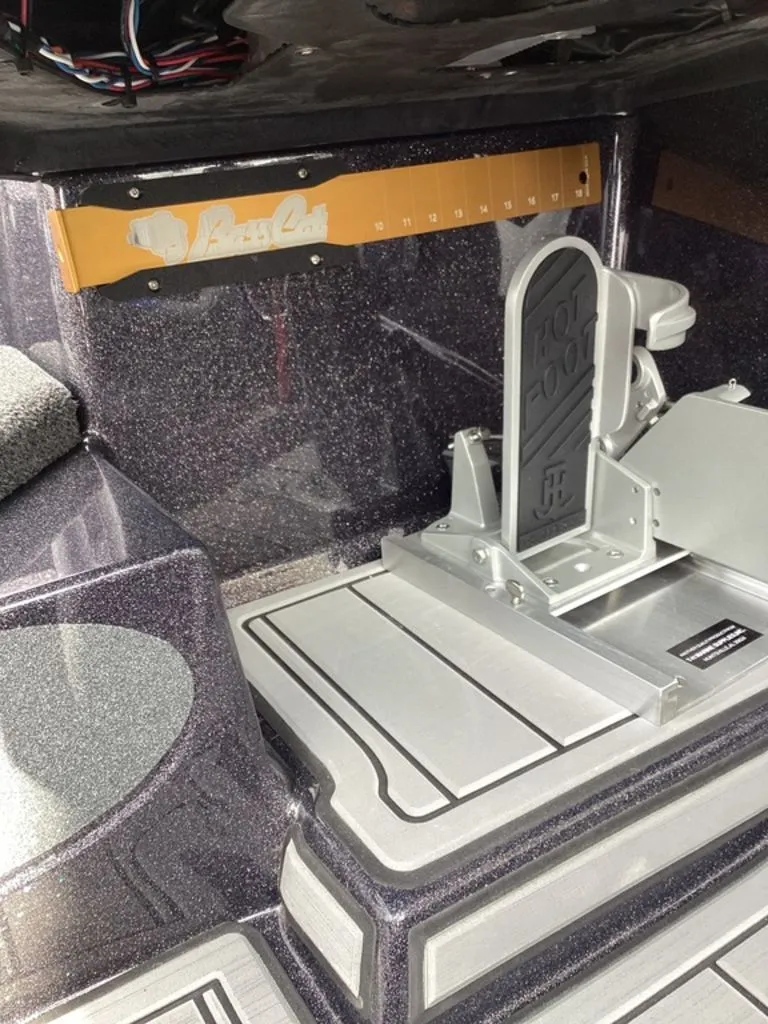 Slide: The Image of Bass Cat Eyra 2026 - 35