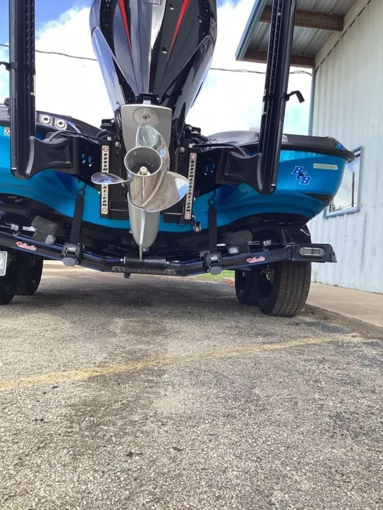 Slide: The Image of Bass Cat Eyra 2026 - 4