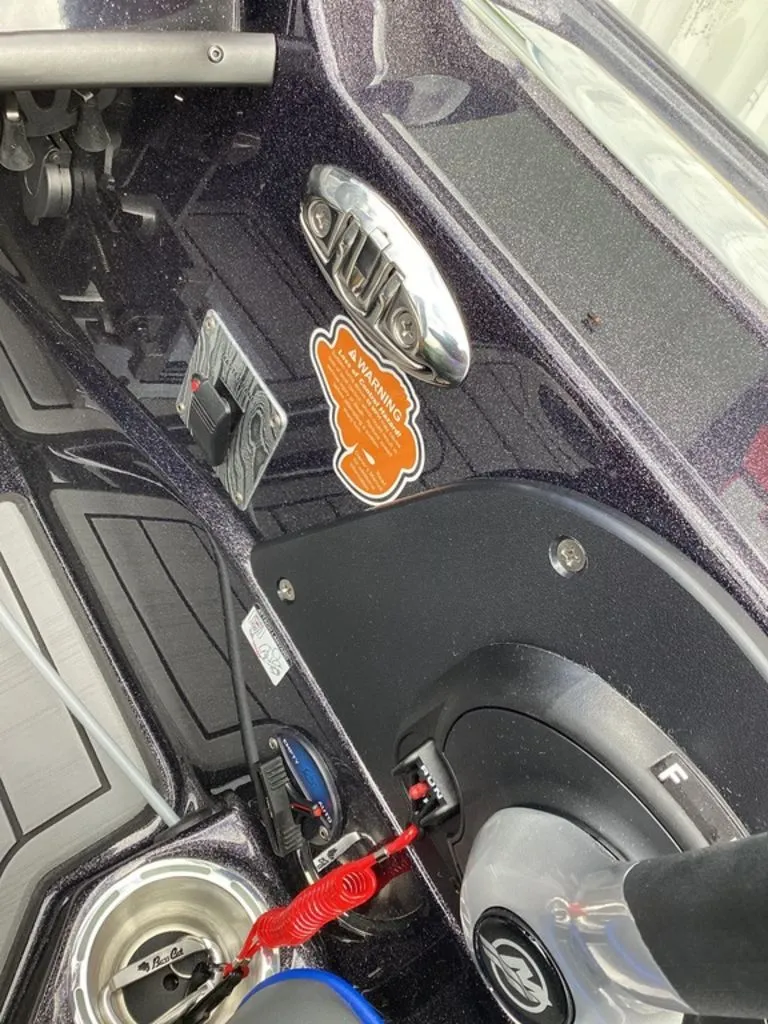 Slide: The Image of Bass Cat Eyra 2026 - 43