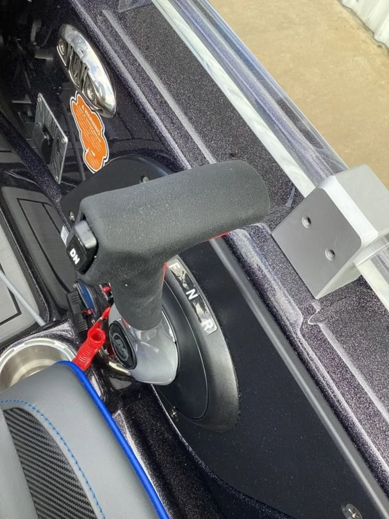 Slide: The Image of Bass Cat Eyra 2026 - 44