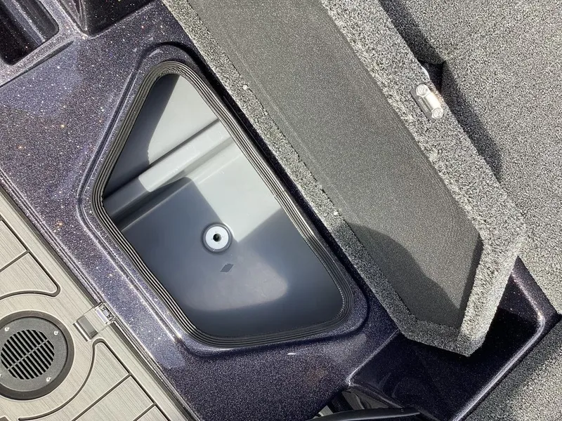 Slide: The Image of Bass Cat Eyra 2026 - 48