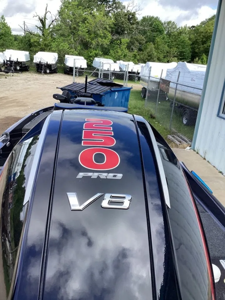 Slide: The Image of Bass Cat Eyra 2026 - 5